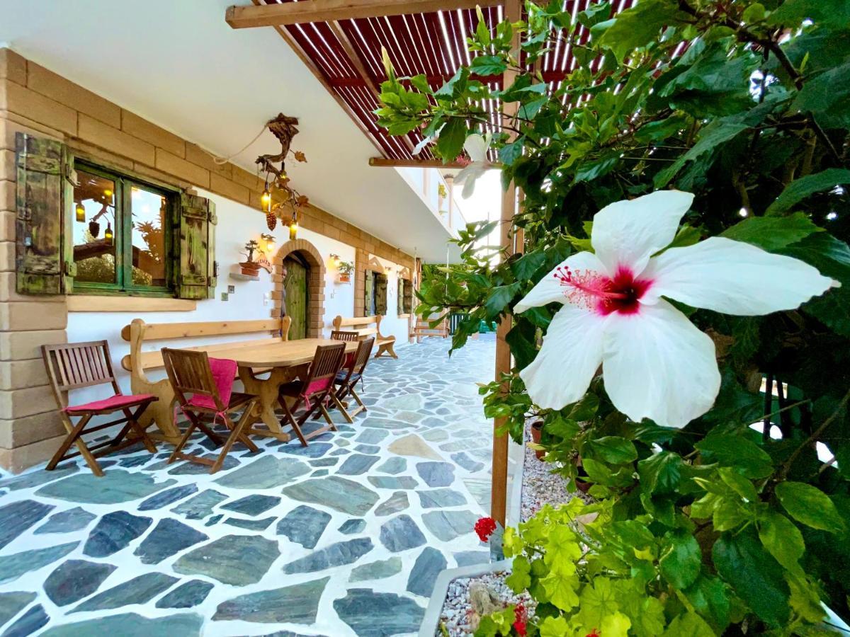 Village Villa Mimis Drapanias Dhrapaniás 外观 照片